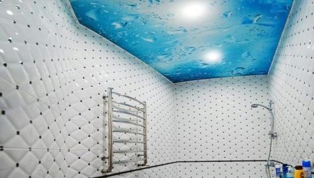 เพดานเท็จในห้องน้ำ: คุณสมบัติพันธุ์การออกแบบ