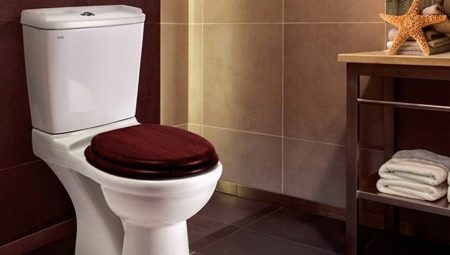 Dimensjonene på toalettsetet: hvordan måle og velge?