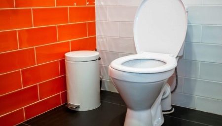 Dimensions des toilettes: standard et minimum, recommandations utiles