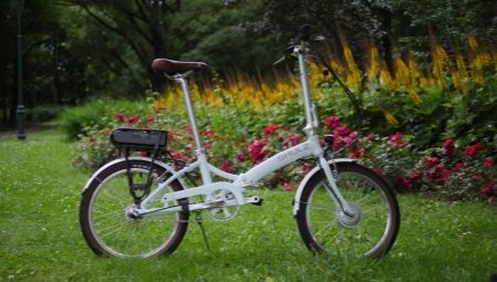 Skladacie bicykle Shulz: zostava a jemné jemnosti