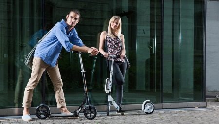 Folding adult scooters: pros and cons, brands, choice