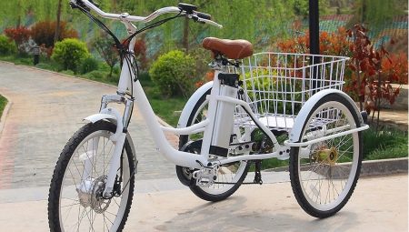 Tricycles for adults: types, pros and cons