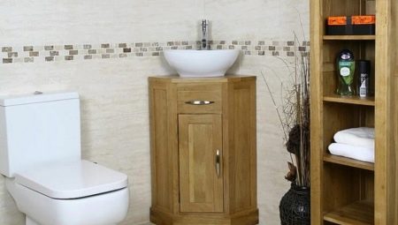 Kampinės kriauklės su šaligatviu vonios kambaryje: veislės, pasirinkimo rekomendacijos