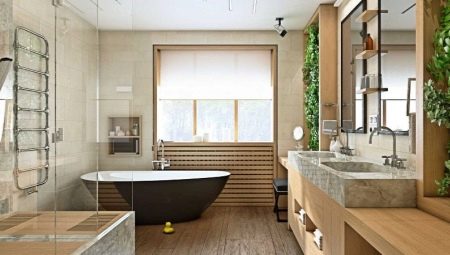 Salles de bains avec une fenêtre: variétés, options de conception