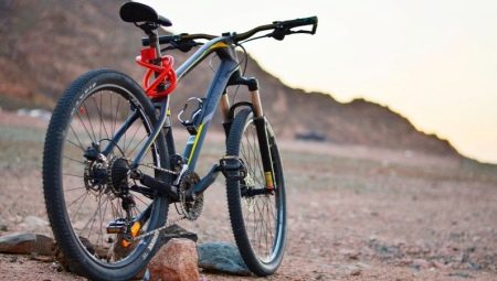 Hardtail-cykler: hvad er det, og hvordan man vælger dem?