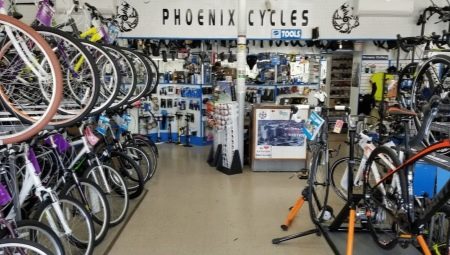 Phoenix Bikes: produktu līnijas pārskats