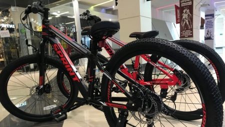 Технички тимски бицикли: Истакнути модели