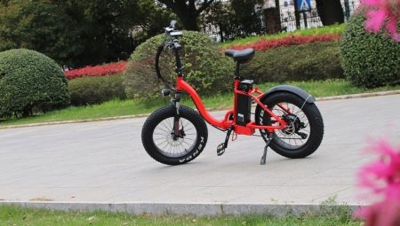 Bicicletas eléctricas para niños: variedades, marcas, elección, reglas de uso.