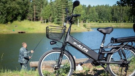 Xe đạp điện: giống, nhãn hiệu, sự lựa chọn