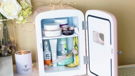 Kosmetiikan jääkaappi: yleiskatsaus malleista ja valituista ominaisuuksista