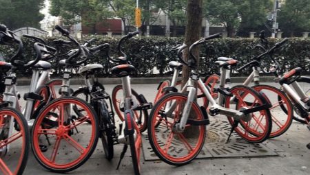Čínske bicykle: prehľad značiek