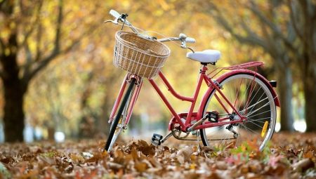Busca bicicletas económicas y consejos para elegirlas.