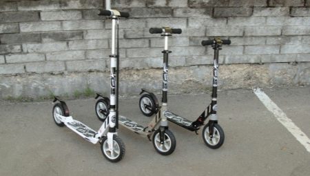 Funksjoner og modellutvalg av scootere Capella