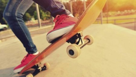 Skateboards Termit: pelbagai model dan pilihan aksesori