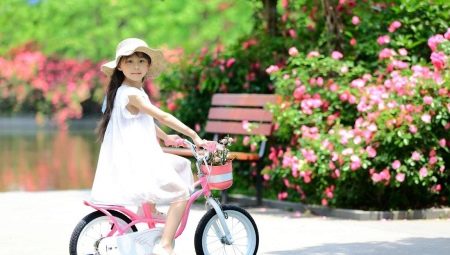 Bicicleta para niñas: tipos y opciones.