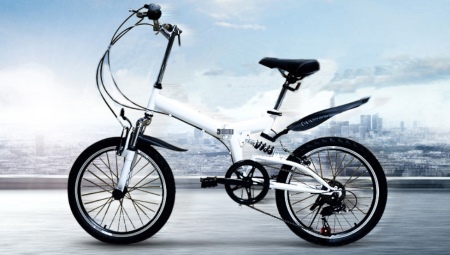 Bicicletes de 20 polzades: característiques, tipus i opcions
