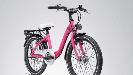 Cykler til teenagepiger: sorter, mærker, valg