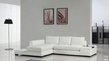 Weiße Sofas im Innenraum: Was kombinieren und wie auswählen?