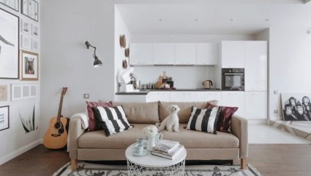 Smėlio spalvos sofos interjere: spalvų deriniai, stiliai ir pasirinkimai