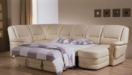 Dīvāni ar lielu piestātni: funkcijas, veidi un izvēles iespējas