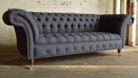 Carriage coupled sofas: features, models and choice