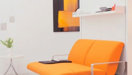 Küçük bir daire için kanepeleri dönüştürme: modellere genel bakış ve seçim