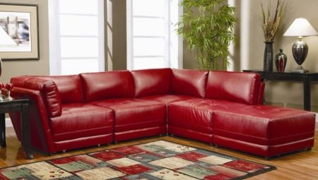 Pārveidojošie dīvāni: īpašības un šķirnes