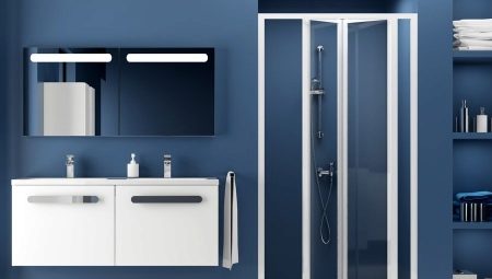 Shower doors and rails Ravak: features and secrets of choice