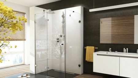 Shower enclosures without a pallet: types, materials, selection tips