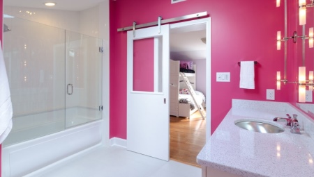 Bathroom doors: views and tips for choosing
