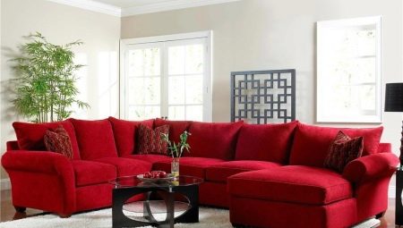 Red sofas in the interior