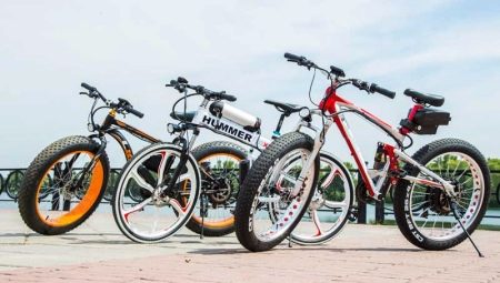 As melhores bicicletas elétricas: classificações do fabricante e segredos de sua escolha