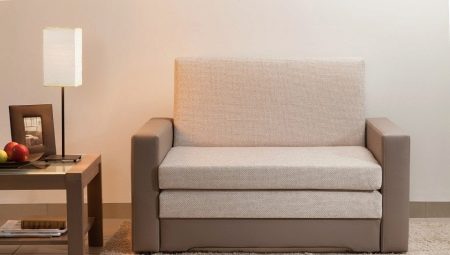 Viengubos sofos: ypatybės ir pasirinkimo taisyklės