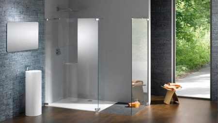 Divisórias de vidro para o banho: variedades, tamanhos e opções