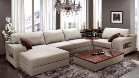 Variasjoner av sofaer: klassifisering og valg