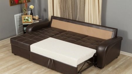 Oturma odasında yataklı bir kanepe seçin