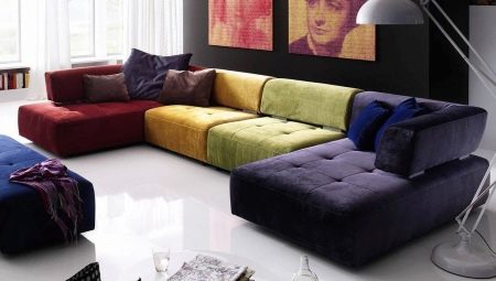Velg en modulær sofa med en køye i stuen