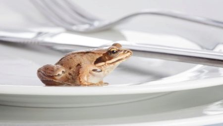 Яжте жабата в управлението на времето