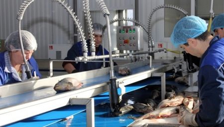 Who is a fish production technologist and what does he do?