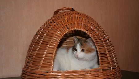 Tecendo uma casa para gatos com tubos de jornal