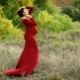 Червена рокля за майчинство