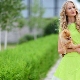 فستان أخضر فاتح - صورة مع ملاحظات نضارة الربيع
