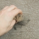 Effektive Werkzeuge und Methoden zum Entfernen von Flecken vom Griff mit Kunstleder