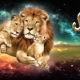 Характеристики на мъжки Лъв, роден в годината на Бика