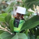 Huile d'arbre à thé pour l'acné: propriétés, recommandations pour la sélection et l'utilisation
