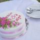 Jednostupňový svadobná torta - najlepšie nápady a tipy na výber