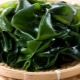 Omotavanje alge: koristi, štete i pravila