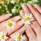 Hoe bloemen op nagels te tekenen: stap voor stap demonteren