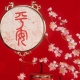Talismans og amuletter av Feng Shui: utnevnelse, tips for valg