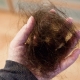 El cabello se cae en racimos: causas y soluciones